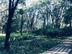 -黑龙江省森林植物园