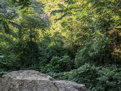-秦岭终南山世界地质公园翠华山景区