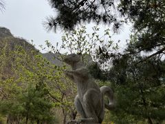 -野三坡百里峡景区