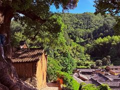 -杨家堂村