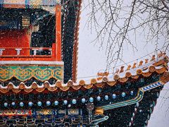 -故宫博物院(故宫)