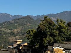 -杨家堂村