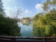 -八大山人梅湖景区