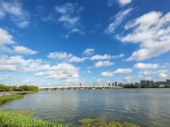 -长广溪湿地公园