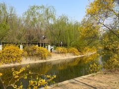 -南翠屏公园