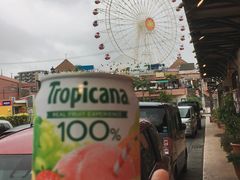 -美国村