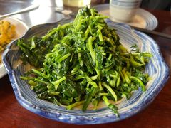 高山野马兰-曾福兴