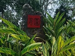 -广西壮族自治区药用植物园