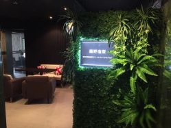 -藤野造型·专业烫染店
