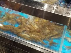 -盒马鲜生(观音桥店)