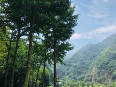 -秦岭终南山世界地质公园翠华山景区