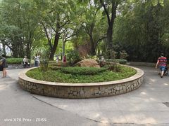 -晓港公园