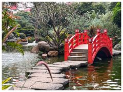 -广州花园酒店荔湾亭·地道点心·粤式饮茶