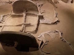 -洛阳周王城天子驾六博物馆