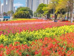 -海心沙亚运公园