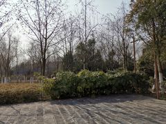 -合肥三国新城遗址公园