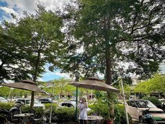-Torch Coffee 炬点咖啡