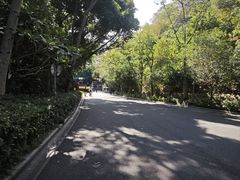 -金鸡山公园