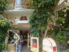 -野草莓自由市场
