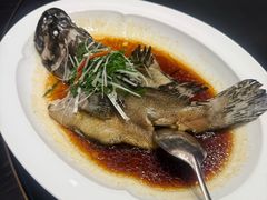 -上海月星家居(澳门路店)