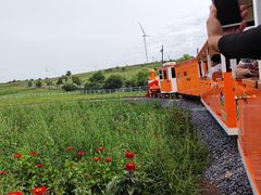-草原天路(张北县)