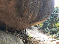 -火炉山森林公园