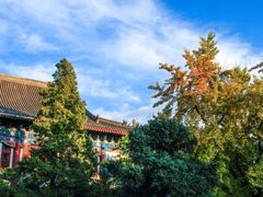 -北京大学百年讲堂