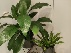 -禾丽康美医疗美容医院