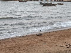 -兴城海滨风景区