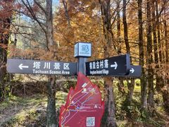 -塔川景区