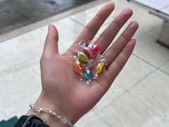 -南山老地方泉水鸡(南山店)