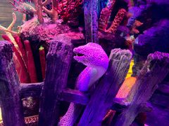 -沈阳海洋探索中心