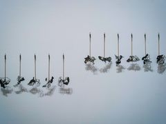 -金泽21世纪美术馆