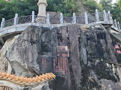 -谢怀亮芝麻茶