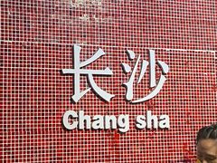 -黑色经典臭豆腐·湖南特产(步行街店)