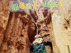 -元谋土林景区(物茂土林)