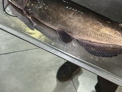 -金三可市井水煮鱼(金碧园店)