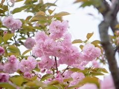 -龙美术馆(西岸馆)