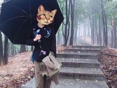 -火炉山森林公园