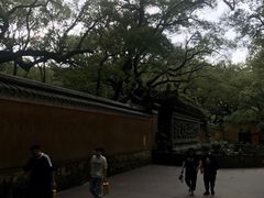 -普陀山风景名胜区-法雨禅寺