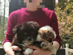 -麦当劳(武昌火车站店)