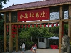 android_upload_pic-永康森林公园