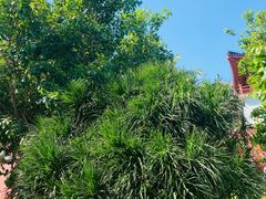 -三亚南山文化旅游区