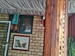 -慢丽江·云南野生菌土鸡锅(付家庄店)