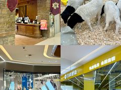 -天河城购物中心