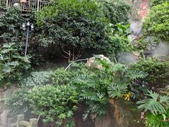 -巴倒烫陆派火锅山庄(南山总店)