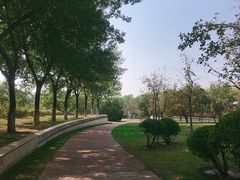 -北京国家会计学院