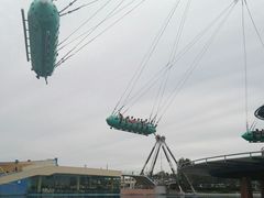 -秦皇岛乐岛海洋王国