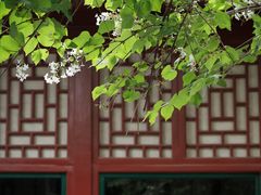 -北京鲁迅博物馆(北京新文化运动纪念馆鲁博馆区)
