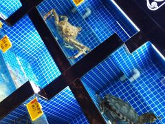 -徽三说·土徽菜·中国徽菜连锁品牌(一中店)